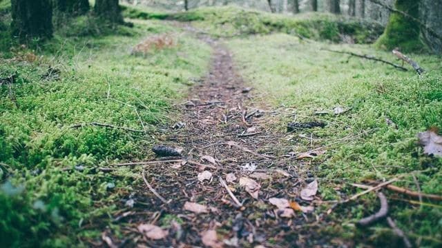 조현병 초기 대응 시 꼭 알아야 할 병원과 지원 제도 이미지