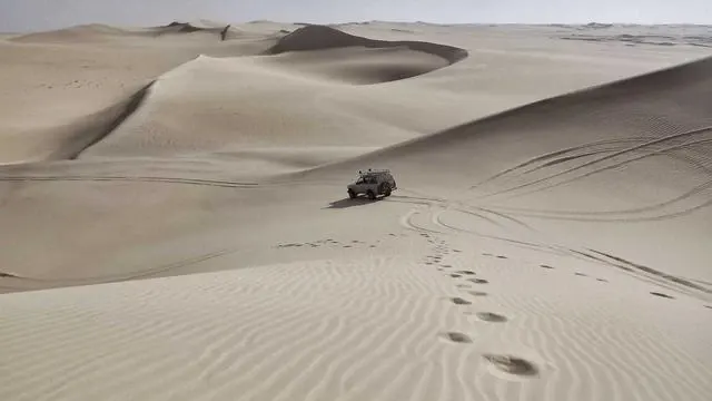 신장 건강에 좋지 않은 음식과 피해야 할 식습관 이미지