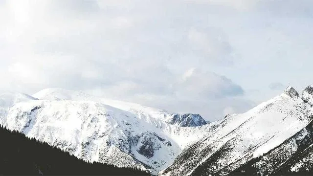 신장 건강을 위한 생활습관과 식사 관리법 이미지