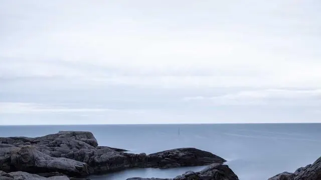 신장에 좋은 차 올바른 우림과 섭취법 이미지