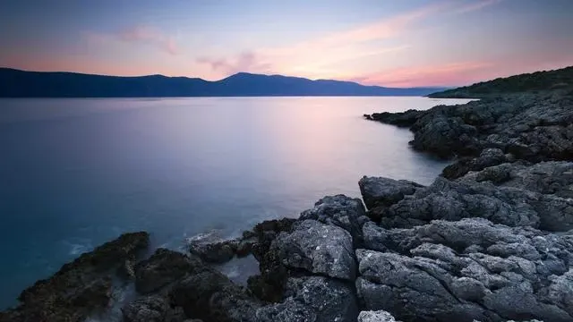 신장에 좋은 차 Q&A 이미지