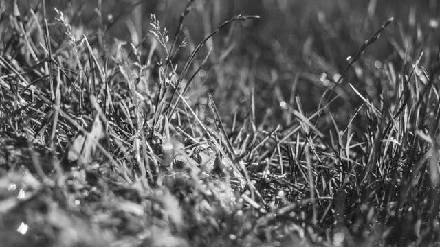 사후피임약 종류별 부작용 차이 이미지