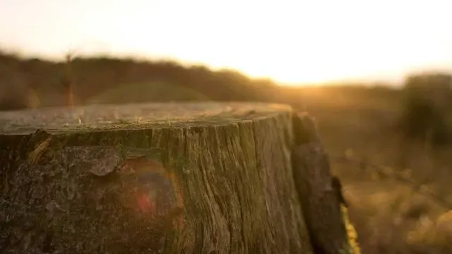 사후피임약 구매 방법과 약국 상담 시 유의사항 이미지