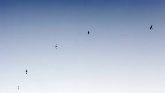 직장인 소액 대출 활용법과 금융 스트레스 줄이기 이미지