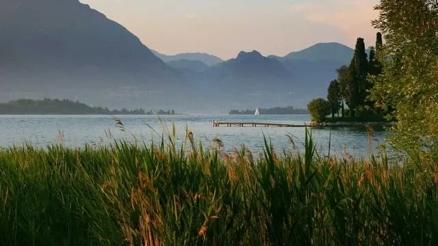 전문가 추천 60대 탈모 관리 치료법 이미지