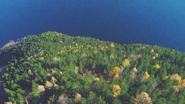 60대 피부와 탈모 관리에 유용한 제품 추천 이미지