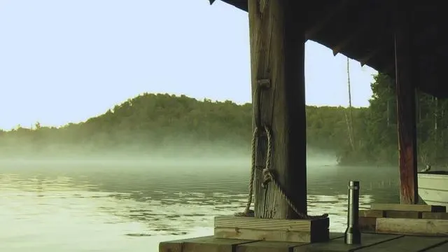 몸과 마음을 가볍게 만드는 디톡스 생활 습관 이미지