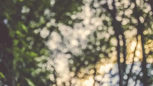 레몬 디톡스 다이어트 방법과 주의점 이미지