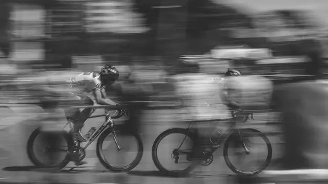 말벌주 부작용 사례와 대응 방법 이미지