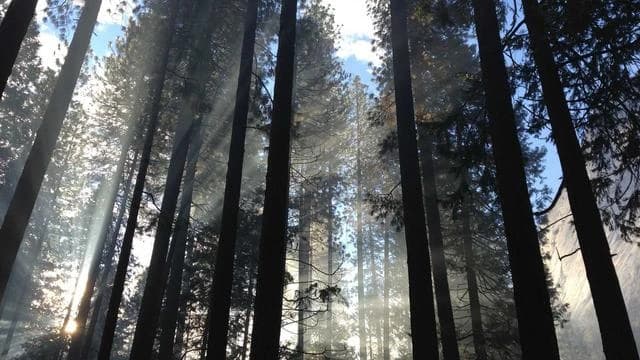 일상에서 실천하는 뇌졸중 예방과 혈관 건강 관리법 이미지