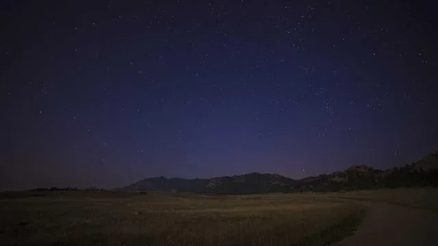 Q&A 손가락 관절 통증 자주 묻는 질문 이미지