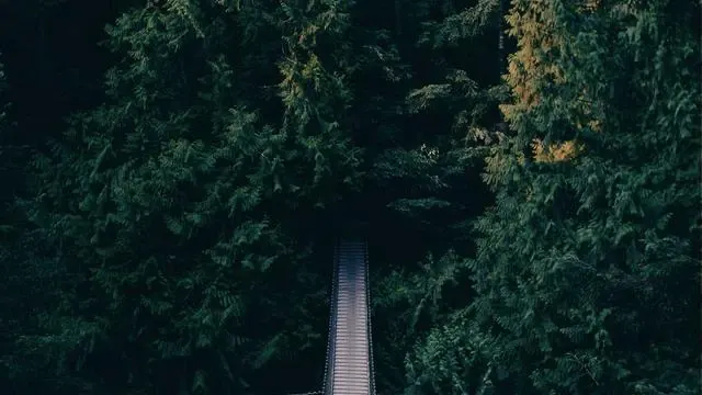 위궤양 예방을 위한 생활 습관과 식단 관리 이미지