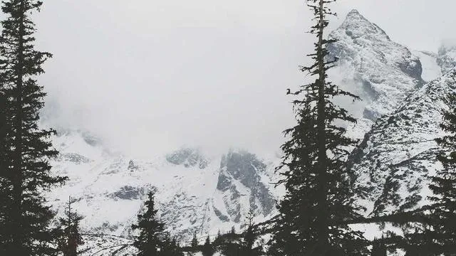 자가 치료법과 일상 생활에서 할 수 있는 관리법 이미지