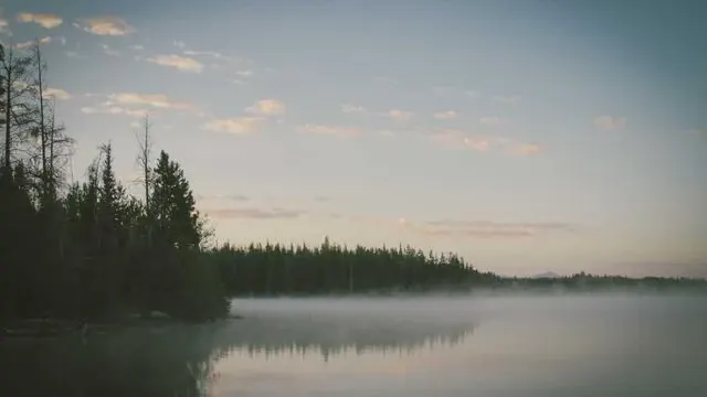 발목 안쪽 통증 치료법과 최신 의료 접근법 이미지