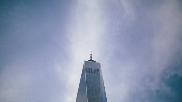 횡와위 자세와 관련된 기본 간호 체위 비교 이미지