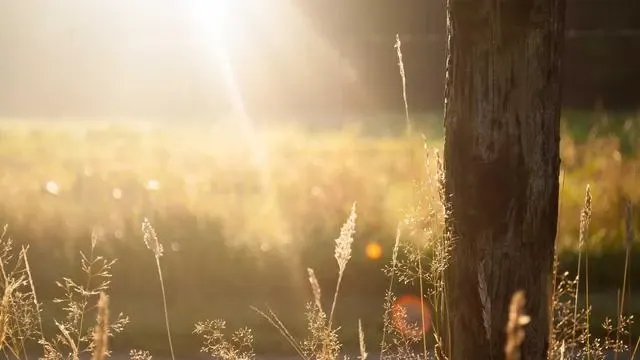 Q&A 손가락길어지는법 자주 묻는 질문 이미지