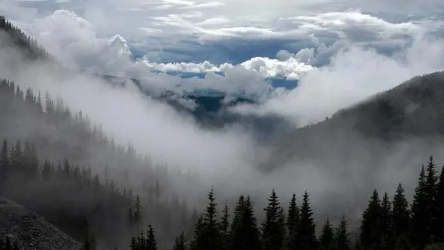 신경내분비종양 수술 후 관리와 재발 방지 이미지