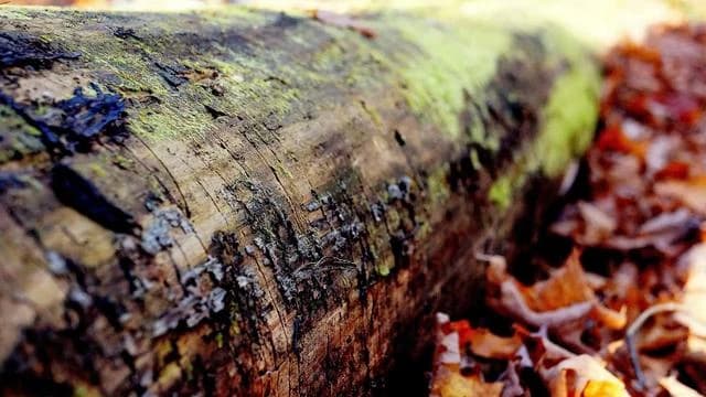 장기입원 시 의료비 및 생계비 지원 현황과 절차 이미지