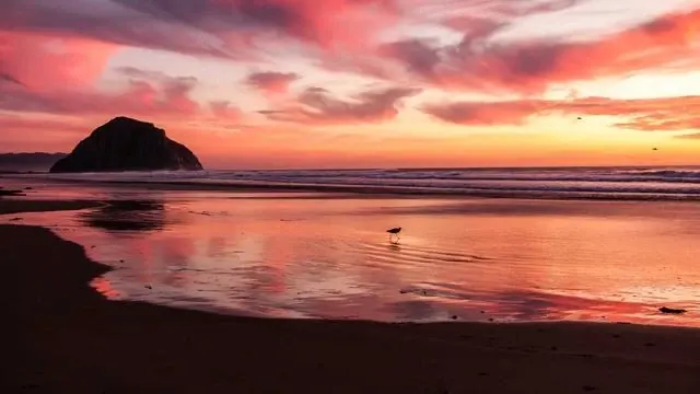 핵심 요약 이미지