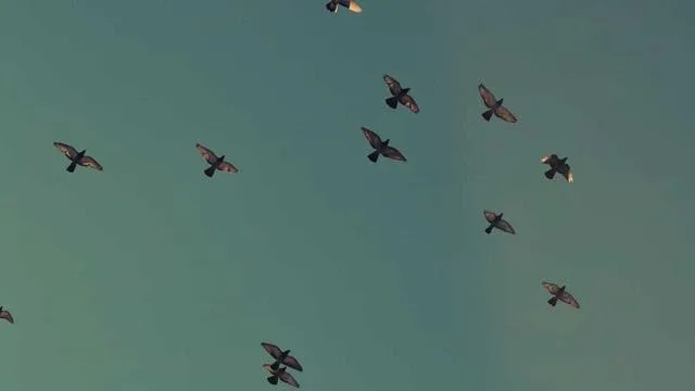 피부 건강을 위한 최신 연구 동향과 트렌드 이미지