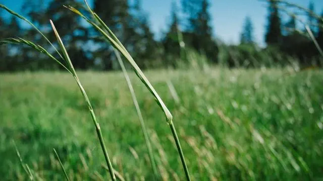 60대 남자 스킨케어 단계별 사용법과 주의점 이미지