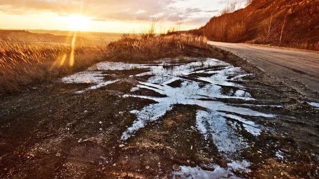 사회적 반응과 정부 대응 방향 이미지