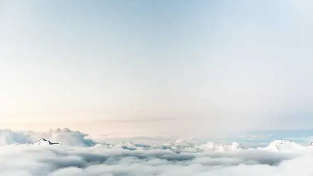 5. 두피 진단과 전문 탈모 치료 선택 기준 이미지