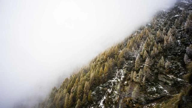 8. 60대 탈모 치료 후 관리와 주의사항 이미지