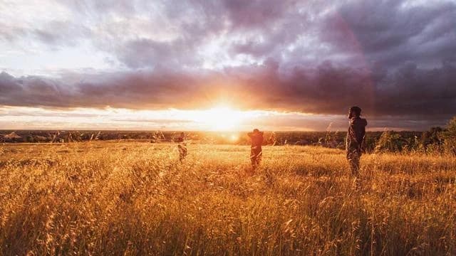 티맵 운전점수 점수별 혜택과 활용법 이미지