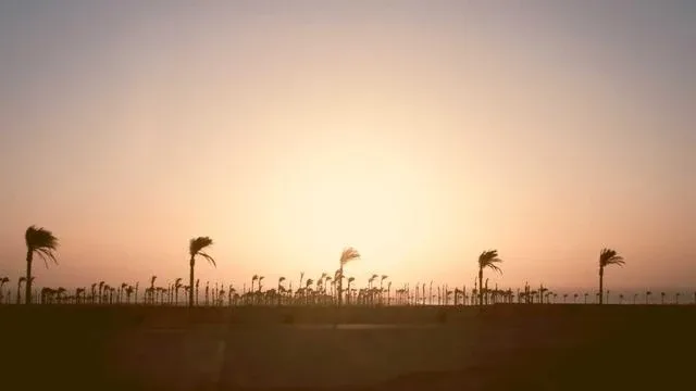 핵심 요약 이미지