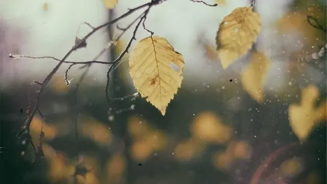 국민카드 현금서비스 이용 시 신용등급 관리법 이미지