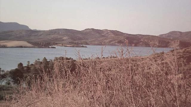 지루성 두피염에 좋은 식습관과 생활습관 팁 이미지