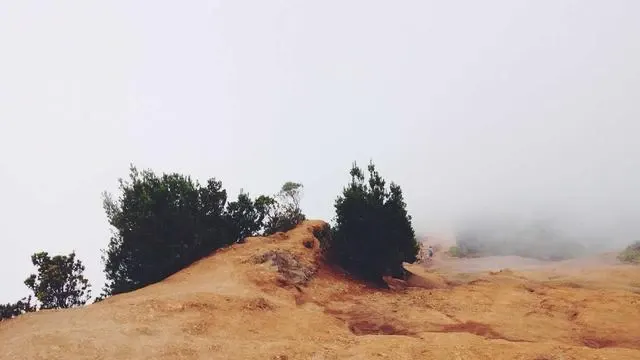 기업카드 이용한도 관리 시 고려해야 할 주요 포인트 이미지