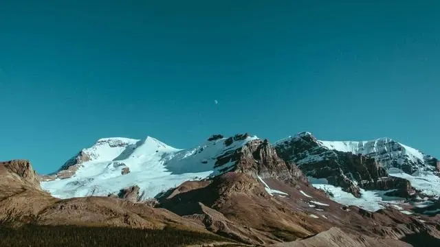 페이북 머니 관련 최신 이벤트 및 활용 사례 이미지