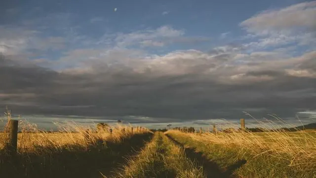 Q&A: 60대 혈당 스파이크 관리 자주 묻는 질문 이미지