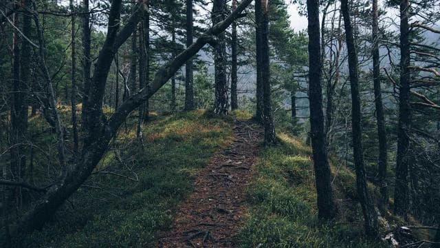 군인공제회 대출 신청 시 필요한 서류와 준비물 이미지