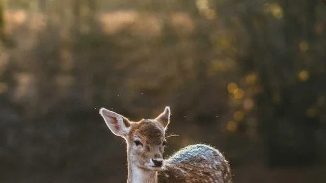 소득과 재산 기준, 어떻게 계산되나 이미지