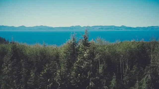 나라사랑카드 PX 할인 혜택 자세히 살펴보기 이미지