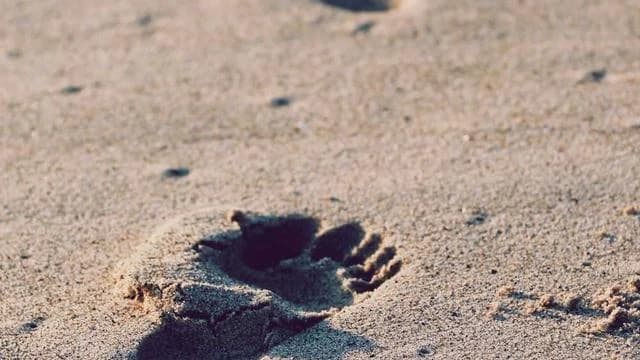 나라사랑카드 관련 자주 묻는 질문 Q&A 이미지