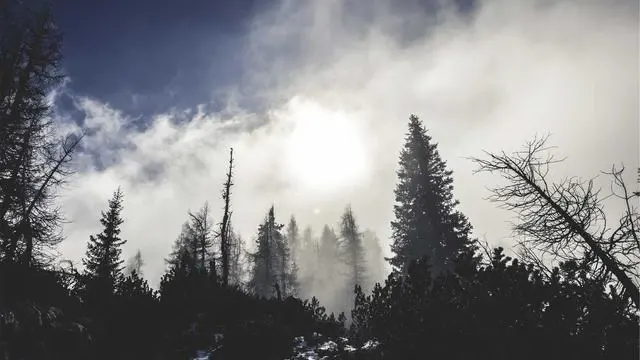 기업카드 대출 신청 후 승인까지 시간과 절차 이미지