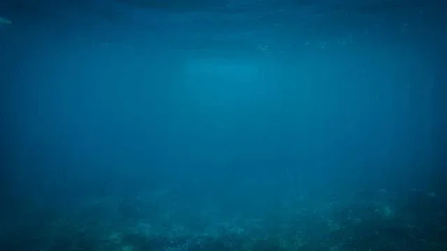 기업카드 대출 활용 사례와 이점 이미지