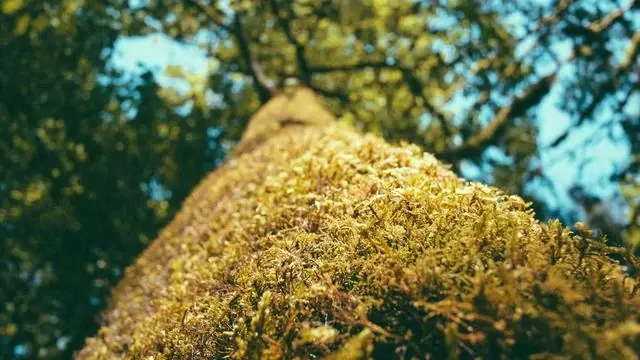 무릎과 허리를 보호하는 60대 맞춤 운동법 이미지