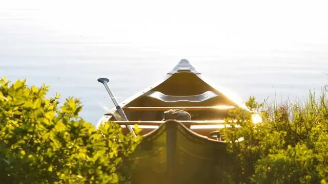 애플페이와 국내 간편결제 시장 변화 전망 이미지