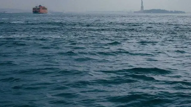 Q&A: 애플페이 카드사 관련 자주 묻는 질문 이미지