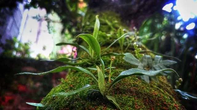 농협카드 대출 상환 방식과 주의사항 이미지