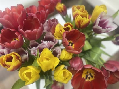 Губернатор и спикер ЗС поздравили женщин Красноярского края с праздником