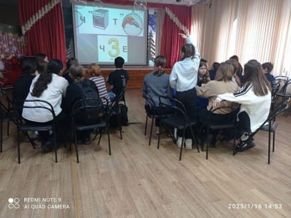«День и Ночь» - Пресс-весы