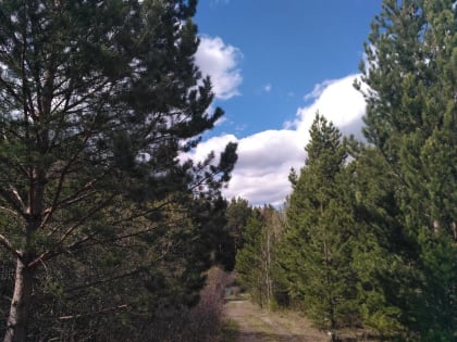 Прогноз погоды в Красноярске на 9 июня