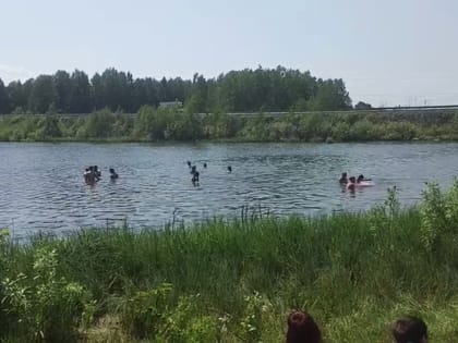 Специалисты Роспотребнадзора нашли в ачинских водоёмах кишечную палочку