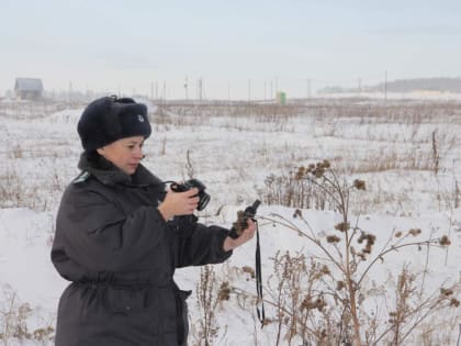 Специалисты Россельзознадзора вовлекли в сельхозоборот более 12 тысяч гектаров земли